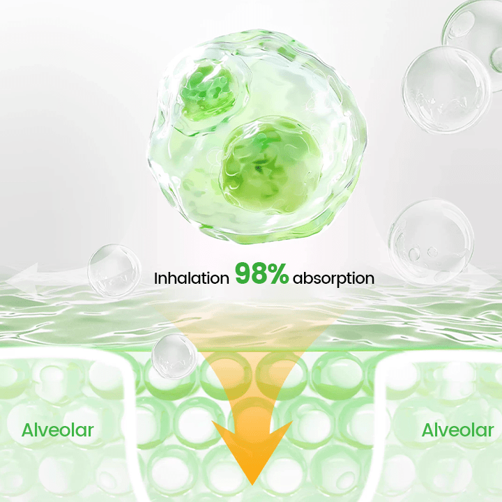 Lyyeto® Pulmovia Quercetin Lung Detox Inhaler