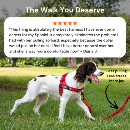 ParoPet No Pull Dog Harness – Comfortable Control for Safer Daily Walks