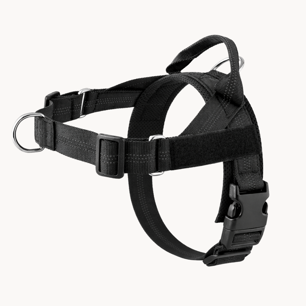 ParoPet No Pull Dog Harness – Comfortable Control for Safer Daily Walks