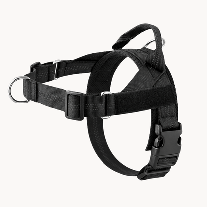 ParoPet No Pull Dog Harness – Comfortable Control for Safer Daily Walks