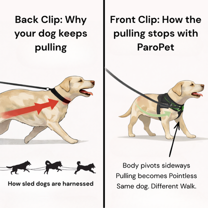ParoPet No Pull Dog Harness – Comfortable Control for Safer Daily Walks
