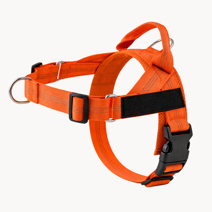 ParoPet No Pull Dog Harness – Comfortable Control for Safer Daily Walks
