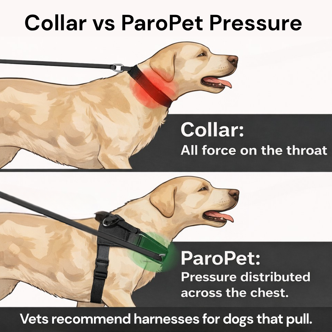 ParoPet No Pull Dog Harness – Comfortable Control for Safer Daily Walks
