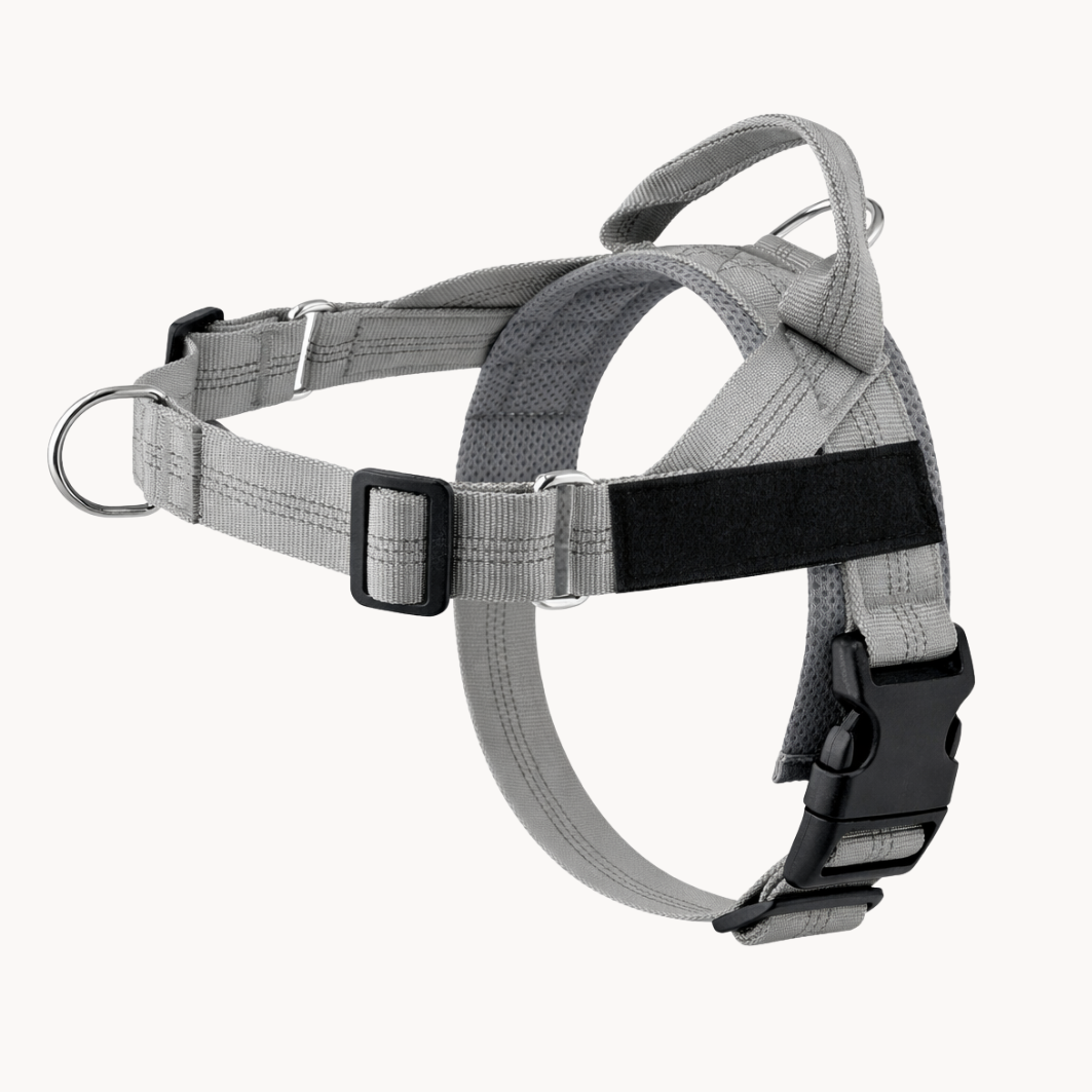 ParoPet No Pull Dog Harness – Comfortable Control for Safer Daily Walks