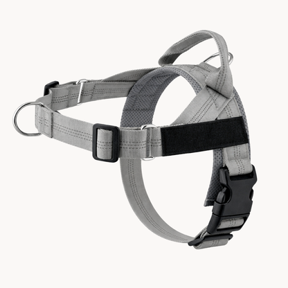 ParoPet No Pull Dog Harness – Comfortable Control for Safer Daily Walks
