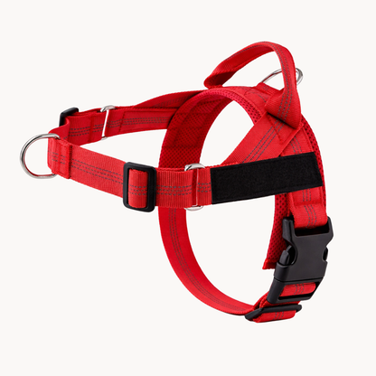 ParoPet No Pull Dog Harness – Comfortable Control for Safer Daily Walks