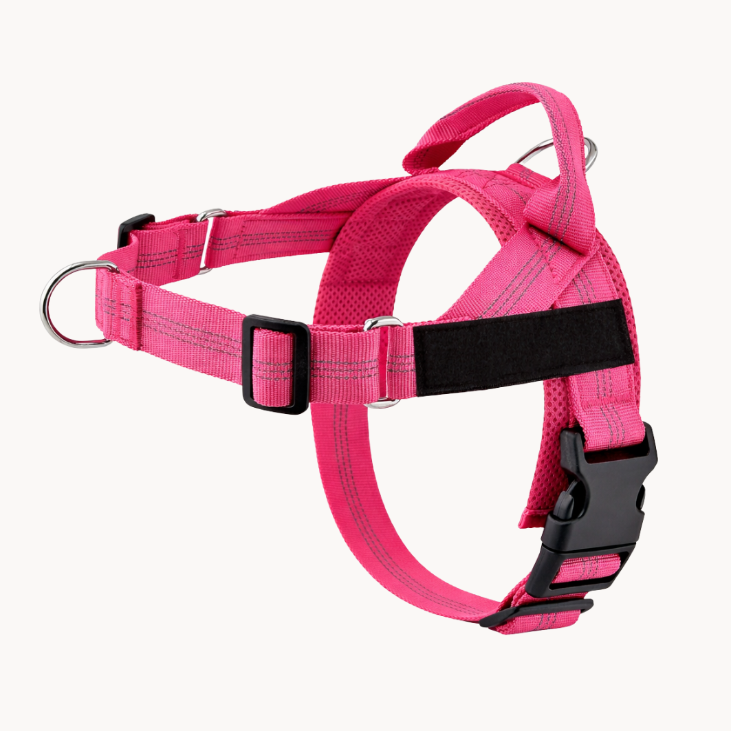 ParoPet No Pull Dog Harness – Comfortable Control for Safer Daily Walks