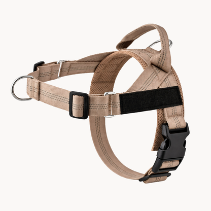 ParoPet No Pull Dog Harness – Comfortable Control for Safer Daily Walks