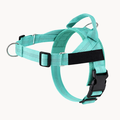 ParoPet No Pull Dog Harness – Comfortable Control for Safer Daily Walks