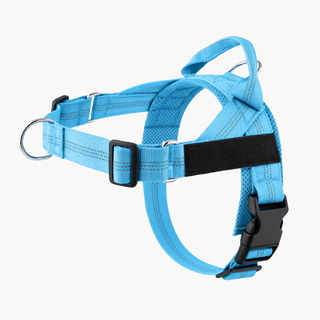 ParoPet No Pull Dog Harness – Comfortable Control for Safer Daily Walks