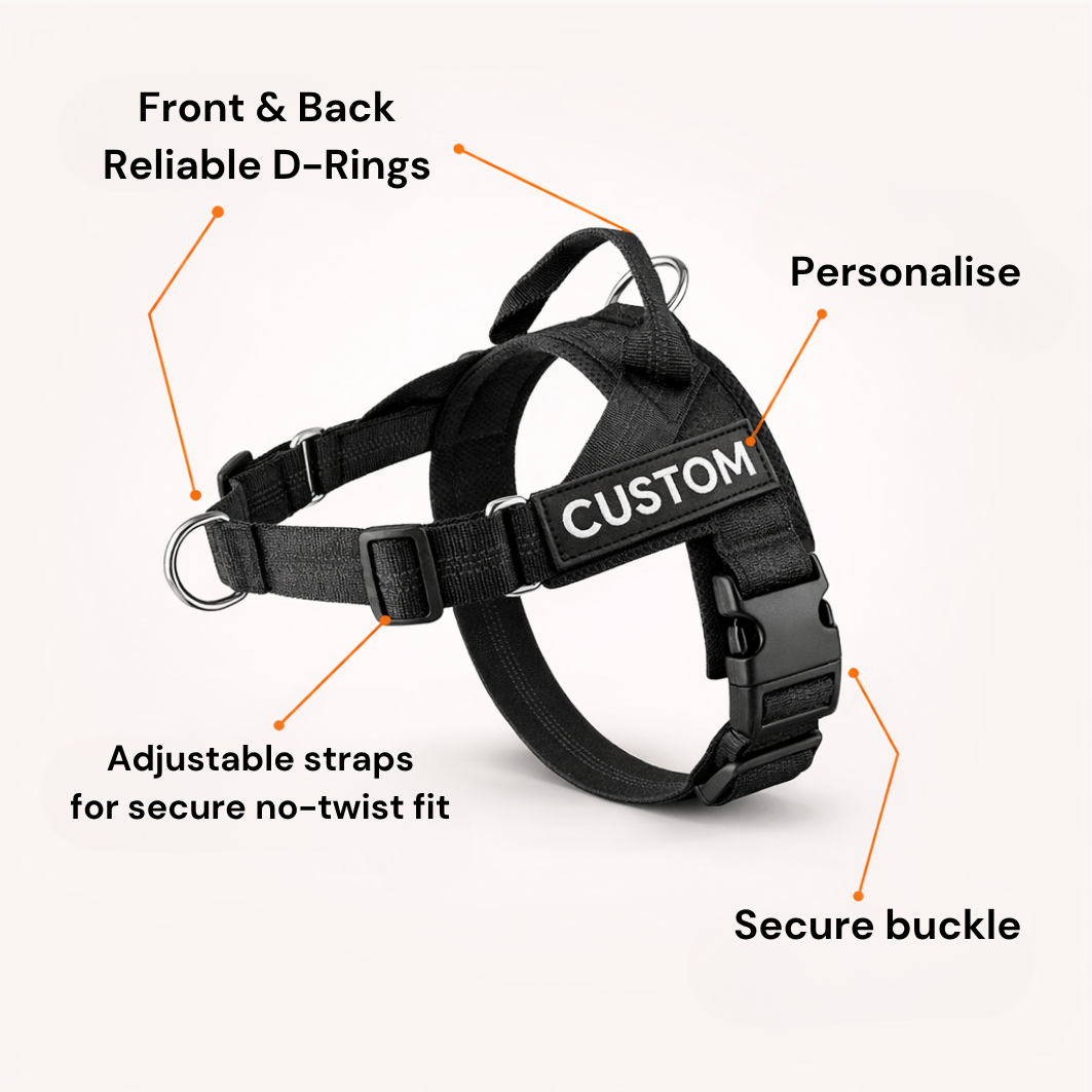 ParoPet No Pull Dog Harness – Comfortable Control for Safer Daily Walks