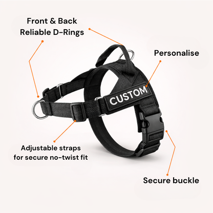 ParoPet No Pull Dog Harness – Comfortable Control for Safer Daily Walks