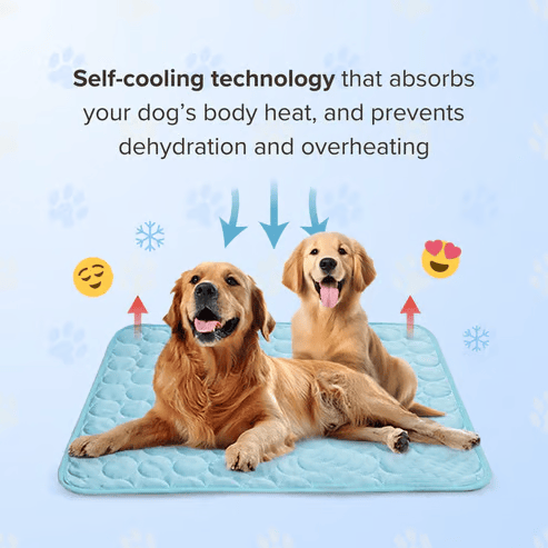 4X Cooling Dog Mat for Hot Summer Days – Keep Your Pet Cool, Calm & Comfortable