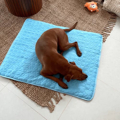 4X Cooling Dog Mat for Hot Summer Days – Keep Your Pet Cool, Calm & Comfortable