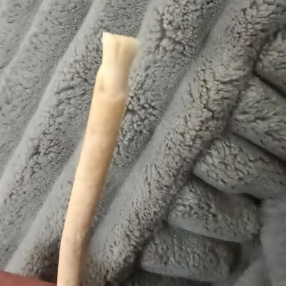 Natural miswak toothbrush stick lifestyle image