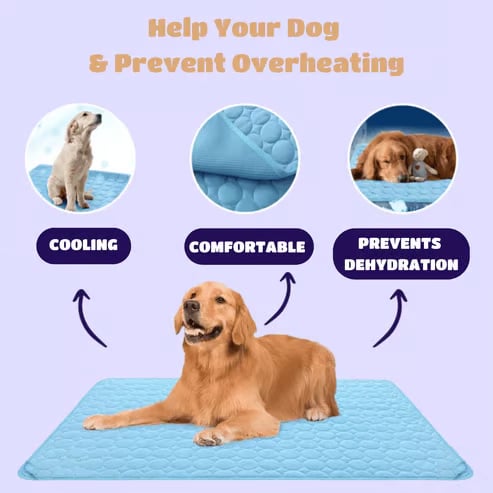 4X Cooling Dog Mat for Hot Summer Days – Keep Your Pet Cool, Calm & Comfortable