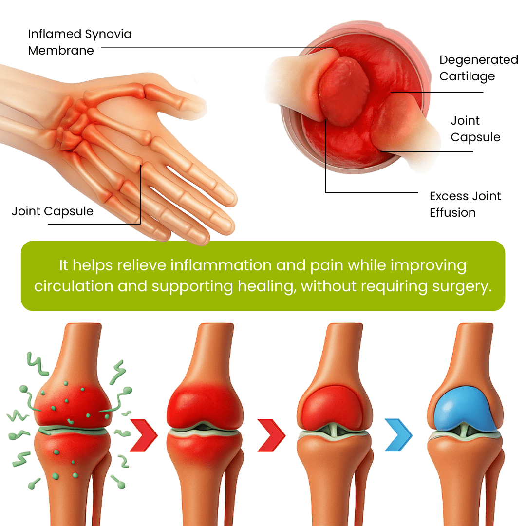 Lyyeto® Magnesium & Peppermint OsteoCare