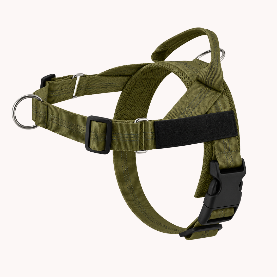 ParoPet No Pull Dog Harness – Comfortable Control for Safer Daily Walks