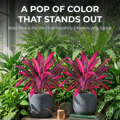 Realistic Artificial Dragon Blood Tree for Effortless Home Decor