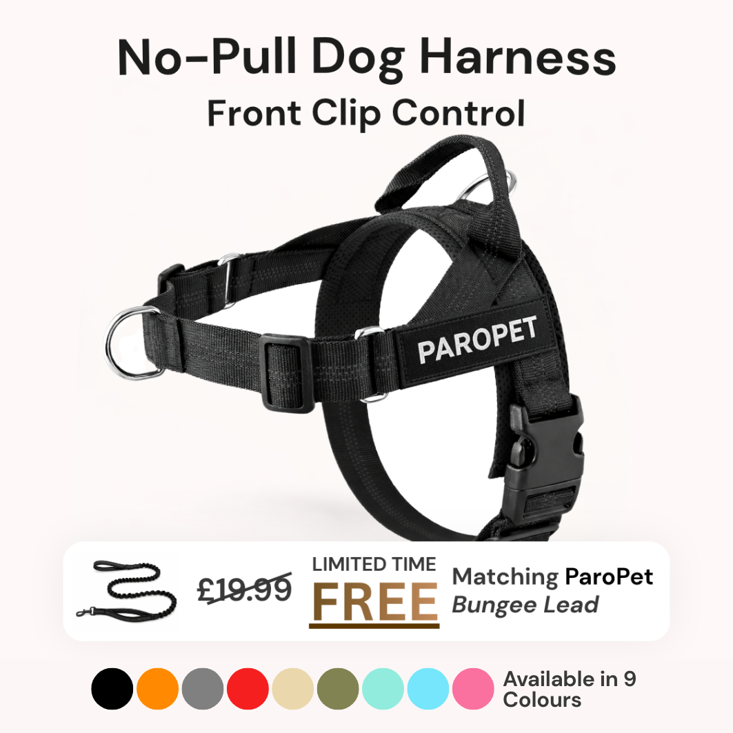 ParoPet No Pull Dog Harness – Comfortable Control for Safer Daily Walks