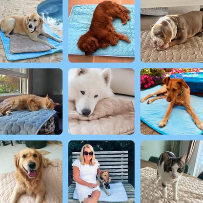 4X Cooling Dog Mat for Hot Summer Days – Keep Your Pet Cool, Calm & Comfortable