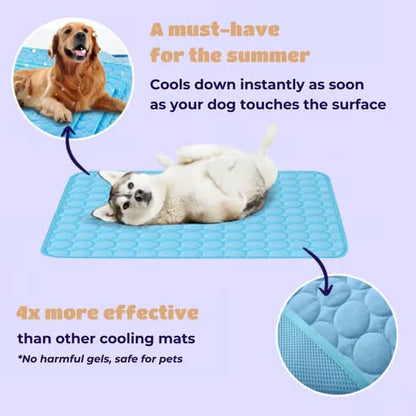 4X Cooling Dog Mat for Hot Summer Days – Keep Your Pet Cool, Calm & Comfortable