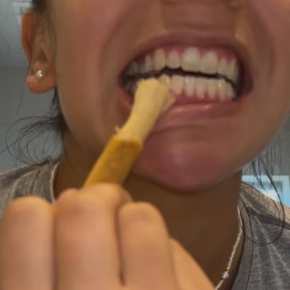 Miswak toothbrush stick in everyday use