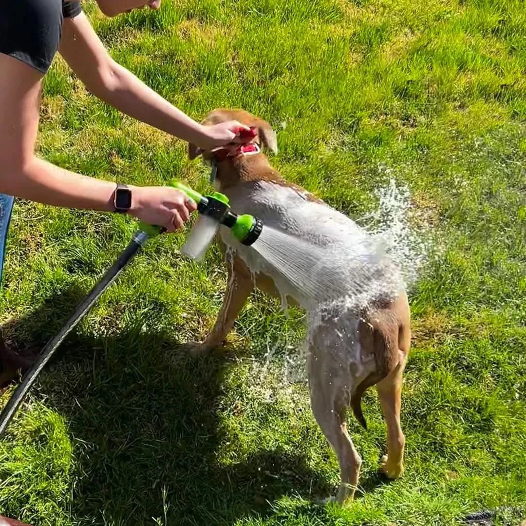 🔥 50% OFF Today – The Dog Bath Sprayer That Pets Love & Owners Swear By