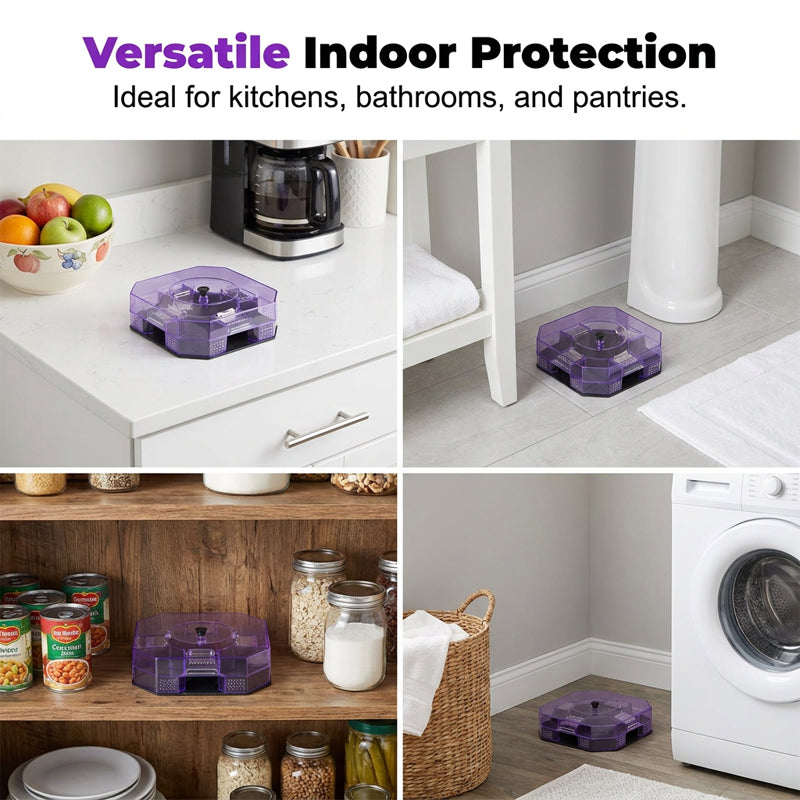 🥳2026 HOT SALE🥳💞50K+ SOLD!♻️🪳 50% OFF! Reusable Roach Trap – Physical capture. no toxic sprays. One‑way doors. easy to check & clean. Safe for homes with kids & pets! 🏠✨