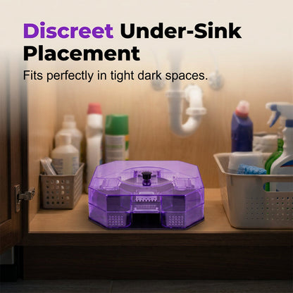 🥳2026 HOT SALE🥳💞50K+ SOLD!♻️🪳 50% OFF! Reusable Roach Trap – Physical capture. no toxic sprays. One‑way doors. easy to check & clean. Safe for homes with kids & pets! 🏠✨