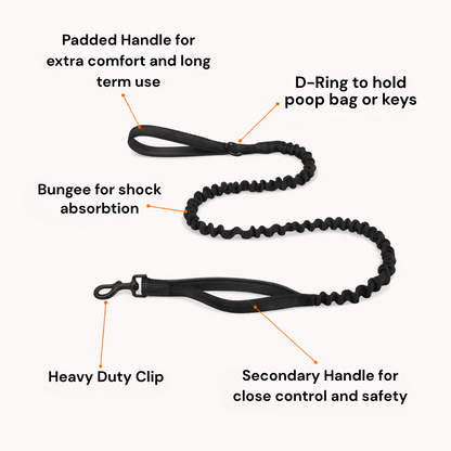 ParoPet No Pull Dog Harness – Comfortable Control for Safer Daily Walks